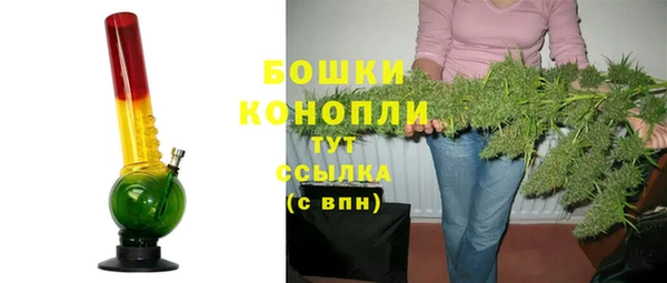 индика Новокубанск