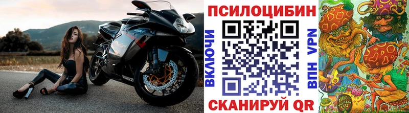 Купить закладки  Назрань  Псилоцибиновые грибы Psilocybe 